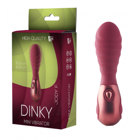 Mini Vibratore Dinky Massaggiatore per Clitoride Donna in Silicone Ricaricabile USB
